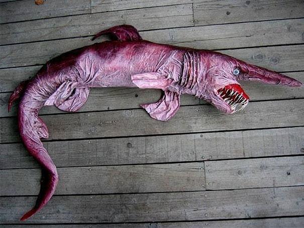 Photo: Goblin Shark