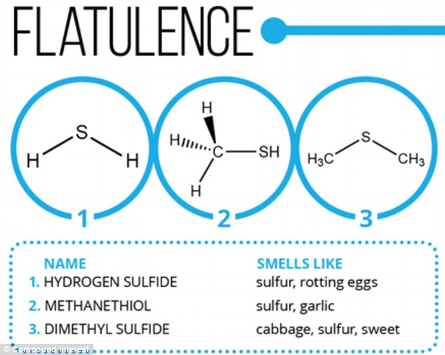 Battle of the sexes? Experts discovered that women typically emit a higher concentration of hydrogen sulphide, which smells of rotten eggs, and consequently  produce more pungent flatulence than men