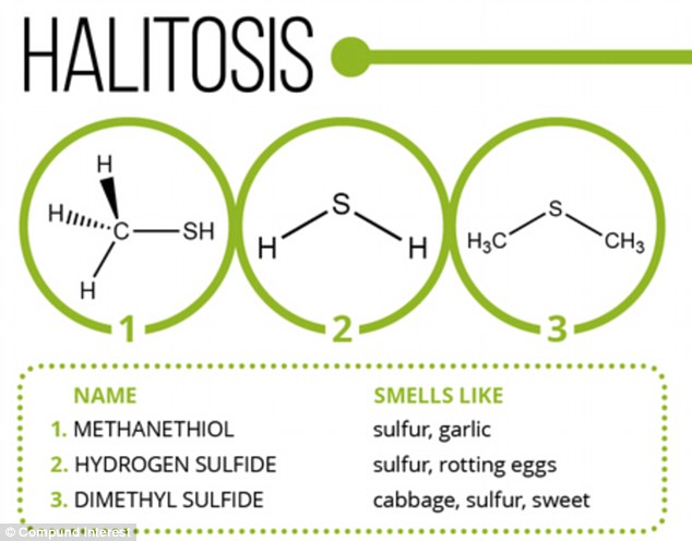 Step away from the cuppa: Certain foods and drinks can make the bad breath worse ¿ or at least more distinctive. As well as the three primary offenders (illustrated), the compound called 3-mercapto-3-methylbutylformate is produced when someone drinks coffee and gives their breath a nasty tang