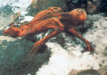 Otzi The Ice Man - History | Passnownow.com