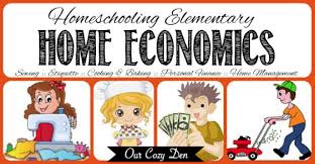 Home economics education