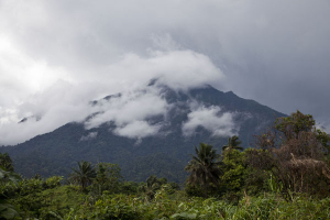 Cameroun Mountain