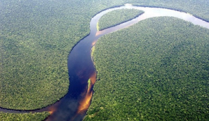 Aerial view of the Congolese rainforest. Taken on a flight from Kinshasa to Bumba.