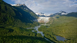 Tongass Forest