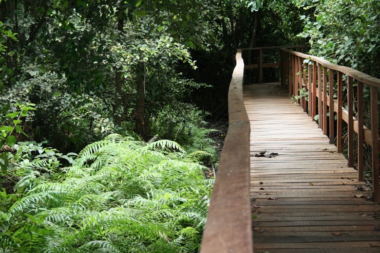 lekki conservation centre