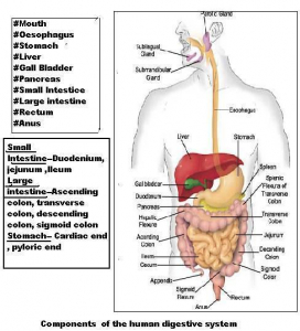 BIO1