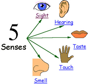 BIO3