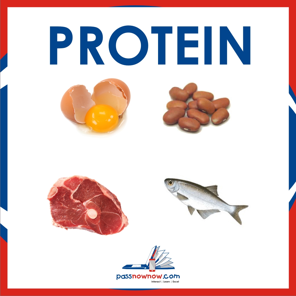 Protein