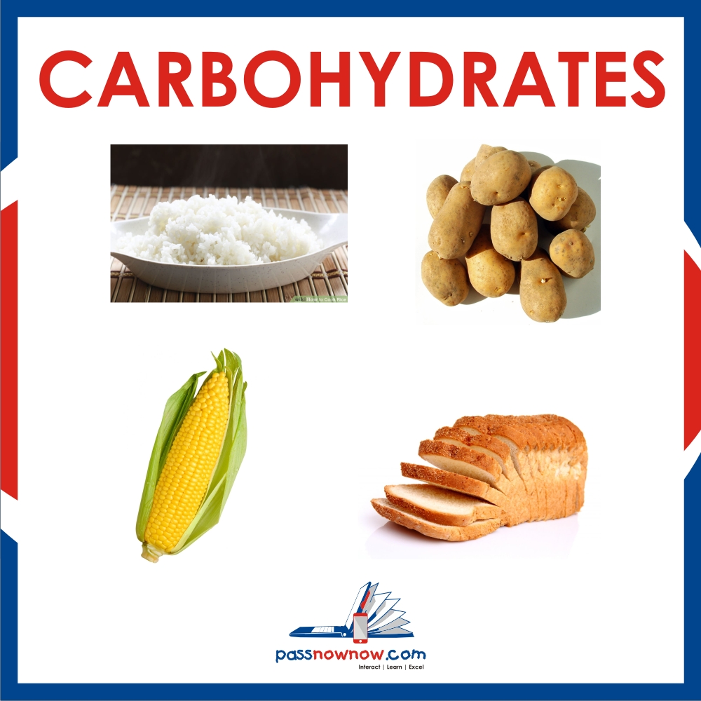 Carbohydrates