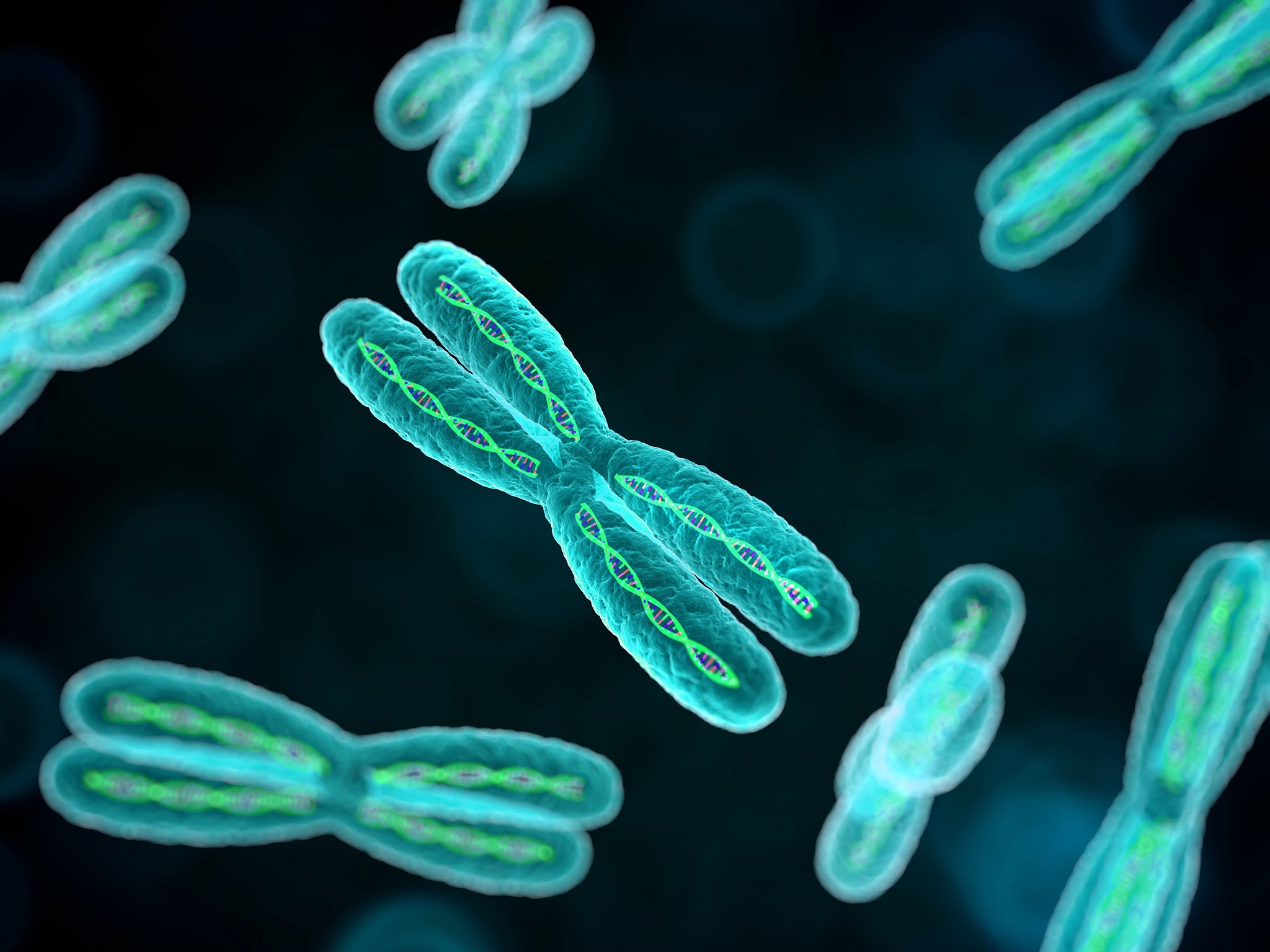 ss3-biology-second-term-chromosomes-passnownow