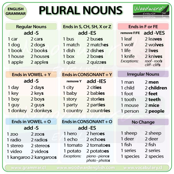 ss1 english language third term  plural forms of nouns  characteristics of different writing