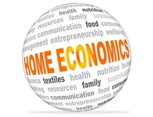 SECOND TERM SCHEME OF WORK FOR JSS3 HOME ECONOMICS LESSON NOTE